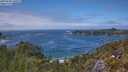 ./images/calvert/foggy-cove/20250606/foggy-cove20250606_140509M.jpg