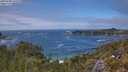./images/calvert/foggy-cove/20250606/foggy-cove20250606_141510M.jpg
