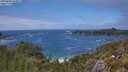./images/calvert/foggy-cove/20250606/foggy-cove20250606_143011M.jpg