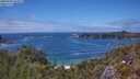./images/calvert/foggy-cove/20250606/foggy-cove20250606_144009M.jpg