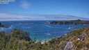 ./images/calvert/foggy-cove/20250606/foggy-cove20250606_145508M.jpg