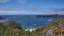 ./images/calvert/foggy-cove/20250606/foggy-cove20250606_150508M.jpg