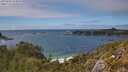 ./images/calvert/foggy-cove/20250606/foggy-cove20250606_154010M.jpg