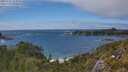 ./images/calvert/foggy-cove/20250606/foggy-cove20250606_154510M.jpg