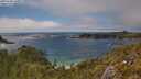 ./images/calvert/foggy-cove/20250606/foggy-cove20250606_160011M.jpg