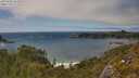 ./images/calvert/foggy-cove/20250606/foggy-cove20250606_161010M.jpg