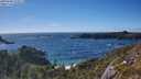 ./images/calvert/foggy-cove/20250606/foggy-cove20250606_174511M.jpg