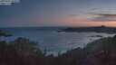 ./images/calvert/foggy-cove/20250607/foggy-cove20250607_043009M.jpg