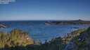 ./images/calvert/foggy-cove/20250607/foggy-cove20250607_072009M.jpg