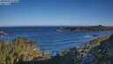 ./images/calvert/foggy-cove/20250607/foggy-cove20250607_074010M.jpg