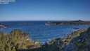 ./images/calvert/foggy-cove/20250607/foggy-cove20250607_075009M.jpg