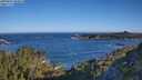 ./images/calvert/foggy-cove/20250607/foggy-cove20250607_080010M.jpg
