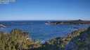 ./images/calvert/foggy-cove/20250607/foggy-cove20250607_080507M.jpg