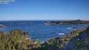 ./images/calvert/foggy-cove/20250607/foggy-cove20250607_081009M.jpg