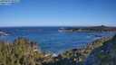 ./images/calvert/foggy-cove/20250607/foggy-cove20250607_082011M.jpg