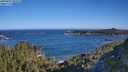 ./images/calvert/foggy-cove/20250607/foggy-cove20250607_082508M.jpg