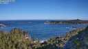 ./images/calvert/foggy-cove/20250607/foggy-cove20250607_083011M.jpg