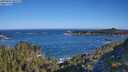 ./images/calvert/foggy-cove/20250607/foggy-cove20250607_083509M.jpg