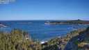 ./images/calvert/foggy-cove/20250607/foggy-cove20250607_085010M.jpg