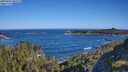 ./images/calvert/foggy-cove/20250607/foggy-cove20250607_085509M.jpg