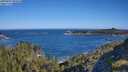 ./images/calvert/foggy-cove/20250607/foggy-cove20250607_090010M.jpg