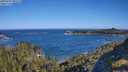./images/calvert/foggy-cove/20250607/foggy-cove20250607_090510M.jpg