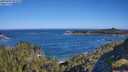 ./images/calvert/foggy-cove/20250607/foggy-cove20250607_091010M.jpg