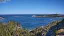 ./images/calvert/foggy-cove/20250607/foggy-cove20250607_092010M.jpg