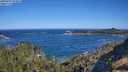 ./images/calvert/foggy-cove/20250607/foggy-cove20250607_094010M.jpg