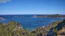 ./images/calvert/foggy-cove/20250607/foggy-cove20250607_095010M.jpg