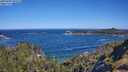 ./images/calvert/foggy-cove/20250607/foggy-cove20250607_095510M.jpg