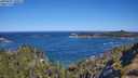 ./images/calvert/foggy-cove/20250607/foggy-cove20250607_100011M.jpg
