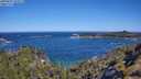 ./images/calvert/foggy-cove/20250607/foggy-cove20250607_101011M.jpg