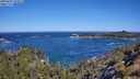 ./images/calvert/foggy-cove/20250607/foggy-cove20250607_102011M.jpg
