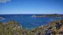./images/calvert/foggy-cove/20250607/foggy-cove20250607_102510M.jpg