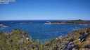 ./images/calvert/foggy-cove/20250607/foggy-cove20250607_103508M.jpg