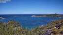 ./images/calvert/foggy-cove/20250607/foggy-cove20250607_111010M.jpg