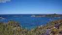 ./images/calvert/foggy-cove/20250607/foggy-cove20250607_113510M.jpg