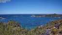 ./images/calvert/foggy-cove/20250607/foggy-cove20250607_114008M.jpg