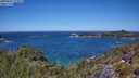 ./images/calvert/foggy-cove/20250607/foggy-cove20250607_123009M.jpg