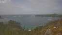 ./images/calvert/foggy-cove/20250611/foggy-cove20250611_145011M.jpg