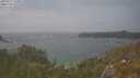 ./images/calvert/foggy-cove/20250611/foggy-cove20250611_154011M.jpg