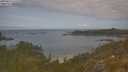 ./images/calvert/foggy-cove/20250614/foggy-cove20250614_111508M.jpg