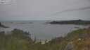 ./images/calvert/foggy-cove/20250615/foggy-cove20250615_140012M.jpg
