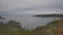 ./images/calvert/foggy-cove/20250615/foggy-cove20250615_154509M.jpg