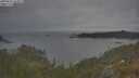 ./images/calvert/foggy-cove/20250615/foggy-cove20250615_163011M.jpg