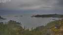 ./images/calvert/foggy-cove/20250615/foggy-cove20250615_202007M.jpg