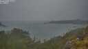 ./images/calvert/foggy-cove/20250616/foggy-cove20250616_053508M.jpg