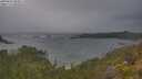 ./images/calvert/foggy-cove/20250616/foggy-cove20250616_080011M.jpg