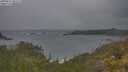 ./images/calvert/foggy-cove/20250616/foggy-cove20250616_081508M.jpg